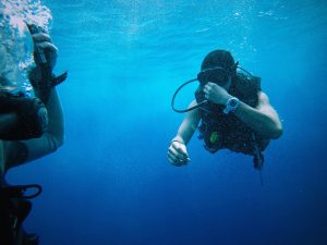 photo sous-marine plongée en apnée